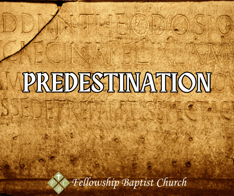 Predestination Pt. 6